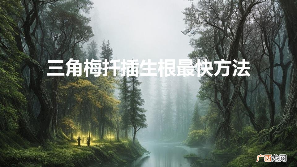 三角梅扦插生根最快方法（三角梅如何扦插成活率100%)