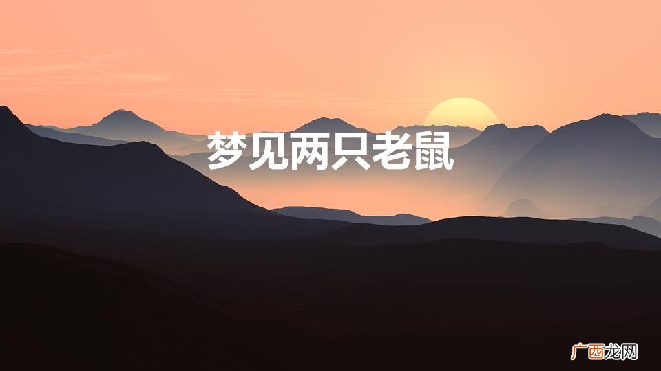 梦见两只老鼠是什么意思 梦见两只老鼠