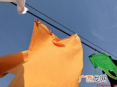 黑毛皮蠹怎么消除的具体操作步骤 黑毛皮蠹怎么消除