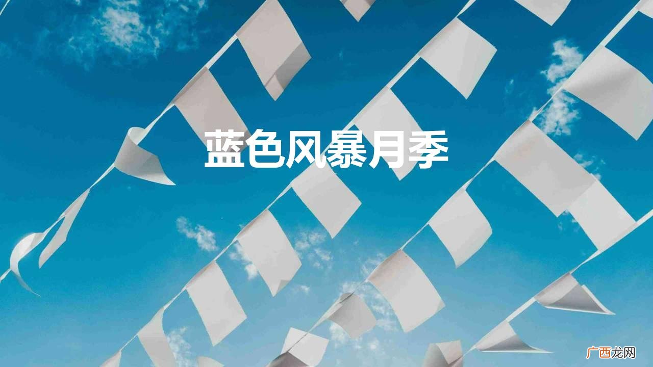 夏日首选蓝色风暴月季花 蓝色风暴月季