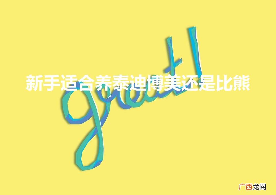 新手适合养泰迪博美还是比熊（建议穷人养的10种狗)