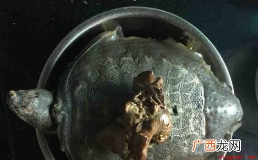 王八汤的做法 王八汤怎么做