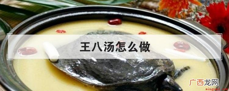 王八汤的做法 王八汤怎么做