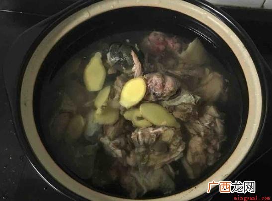 王八汤的做法 王八汤怎么做