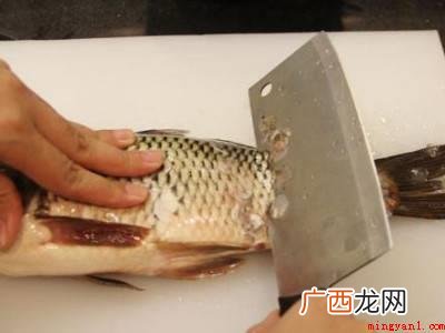 鱼怎么杀的具体操作步骤 鱼怎么杀