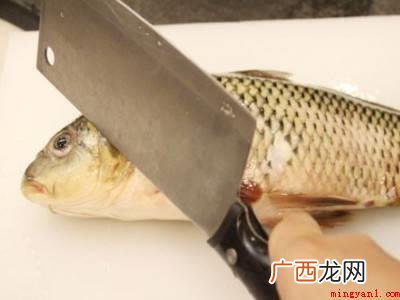 鱼怎么杀的具体操作步骤 鱼怎么杀