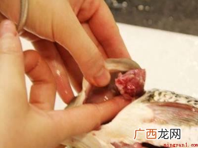 鱼怎么杀的具体操作步骤 鱼怎么杀