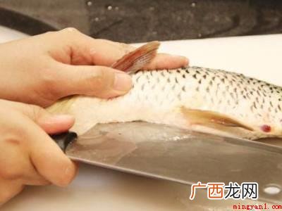 鱼怎么杀的具体操作步骤 鱼怎么杀