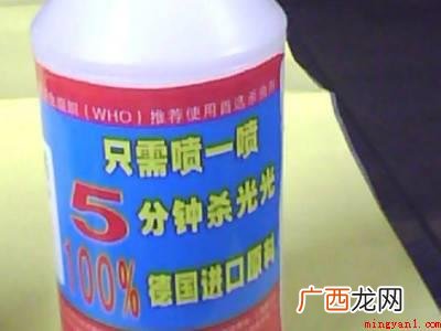 墙纸上有小虫子怎么清除