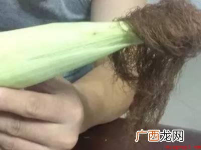鲜玉米怎么保存到冬天的具体操作步骤 鲜玉米怎么保存到冬天