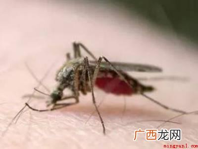空调房怎么驱蚊子的具体操作步骤 空调房怎么驱蚊子