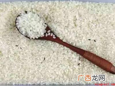 糯米生虫了应该怎样处理的具体操作步骤 糯米生虫了应该怎样处理