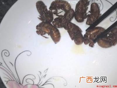 知了怎么炸才又酥又脆的具体操作步骤 知了怎么炸才又酥又脆