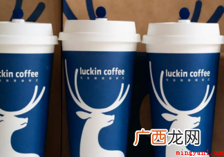 可以平替的中国品牌有哪些
