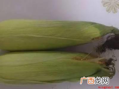 粘玉米怎样保存才可以吃得更久