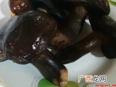 怎么保存野生菌放一年都不坏