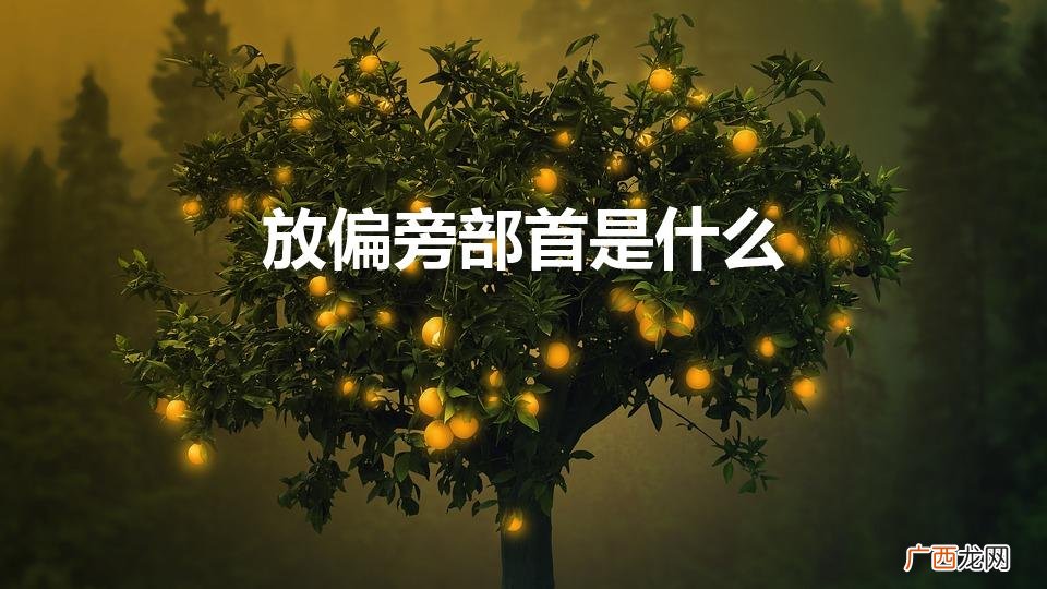 放偏旁部首是什么名称 放偏旁部首是什么