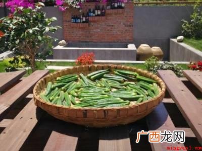 新鲜秋葵怎么做成秋葵干