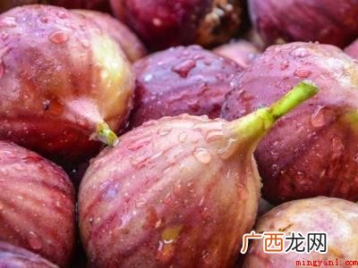 无花果吃不完怎么保存的具体操作步骤 无花果吃不完怎么保存