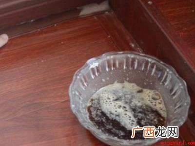 如何根除蟑螂的具体操作步骤 如何根除蟑螂