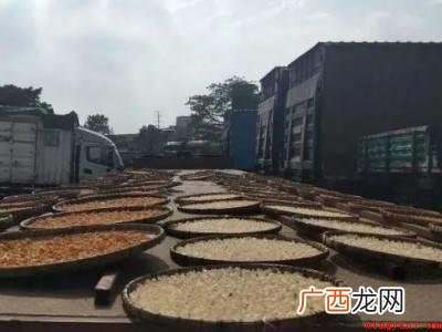龙眼干如何制成的具体操作步骤 龙眼干如何制成的
