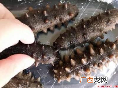 海参干如何泡发的具体操作步骤 海参干如何泡发