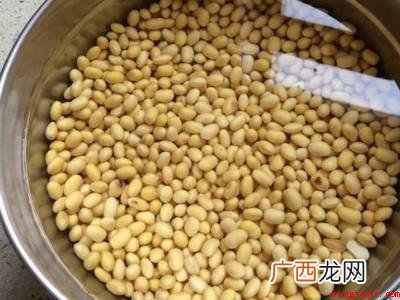 黄豆来不及泡怎么办的具体操作步骤 黄豆来不及泡怎么办