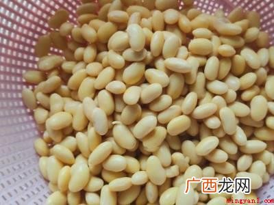 黄豆来不及泡怎么办的具体操作步骤 黄豆来不及泡怎么办