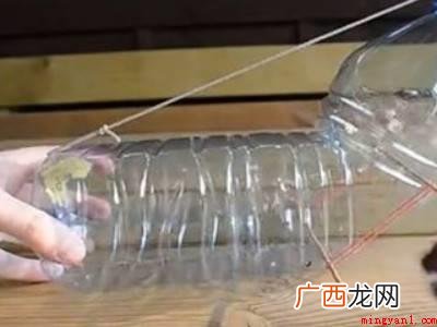 老鼠躲起来了怎么把它引出来