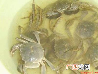 活蟹怎么处理和清洗的具体操作步骤 活蟹怎么处理和清洗