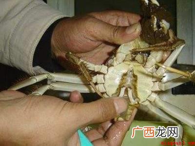 活蟹怎么处理和清洗的具体操作步骤 活蟹怎么处理和清洗
