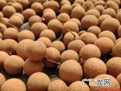 龙眼干怎么晒不会发霉的具体操作步骤 龙眼干怎么晒不会发霉