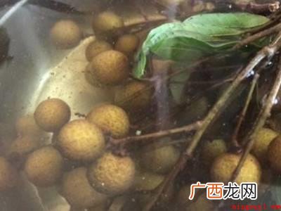 龙眼干怎么晒不会发霉的具体操作步骤 龙眼干怎么晒不会发霉