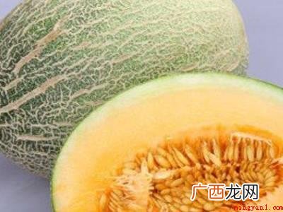 怎么选哈密瓜的具体操作步骤 怎么选哈密瓜