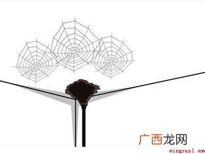蜘蛛网怎么彻底清除的具体操作步骤 蜘蛛网怎么彻底清除