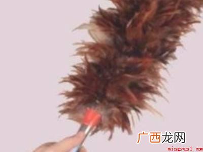 蜘蛛网怎么彻底清除的具体操作步骤 蜘蛛网怎么彻底清除