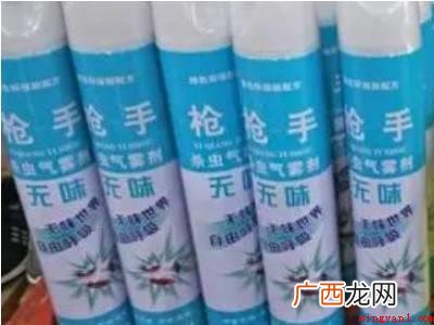 苍蝇太多了用什么办法快速解决的具体操作步骤 苍蝇太多了用什么办法快速解决