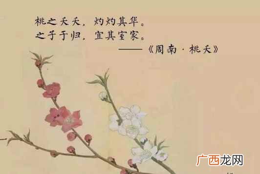 桃之夭夭,灼灼其华是什么意思?