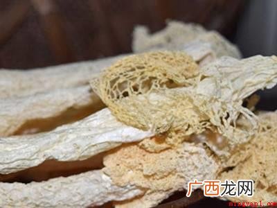 竹荪怎么保存的具体操作步骤 竹荪怎么保存