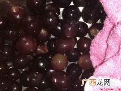 葡萄酒是怎么做的具体操作步骤 葡萄酒是怎么做的