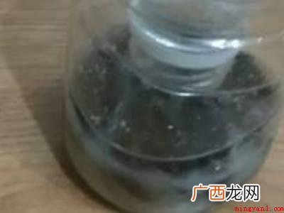 家有蟑螂怎样才能除尽小妙招