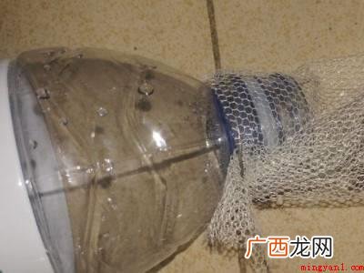 家有蟑螂怎样才能除尽小妙招