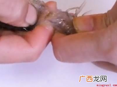 活虾怎样剥壳好剥的具体操作步骤 活虾怎样剥壳好剥