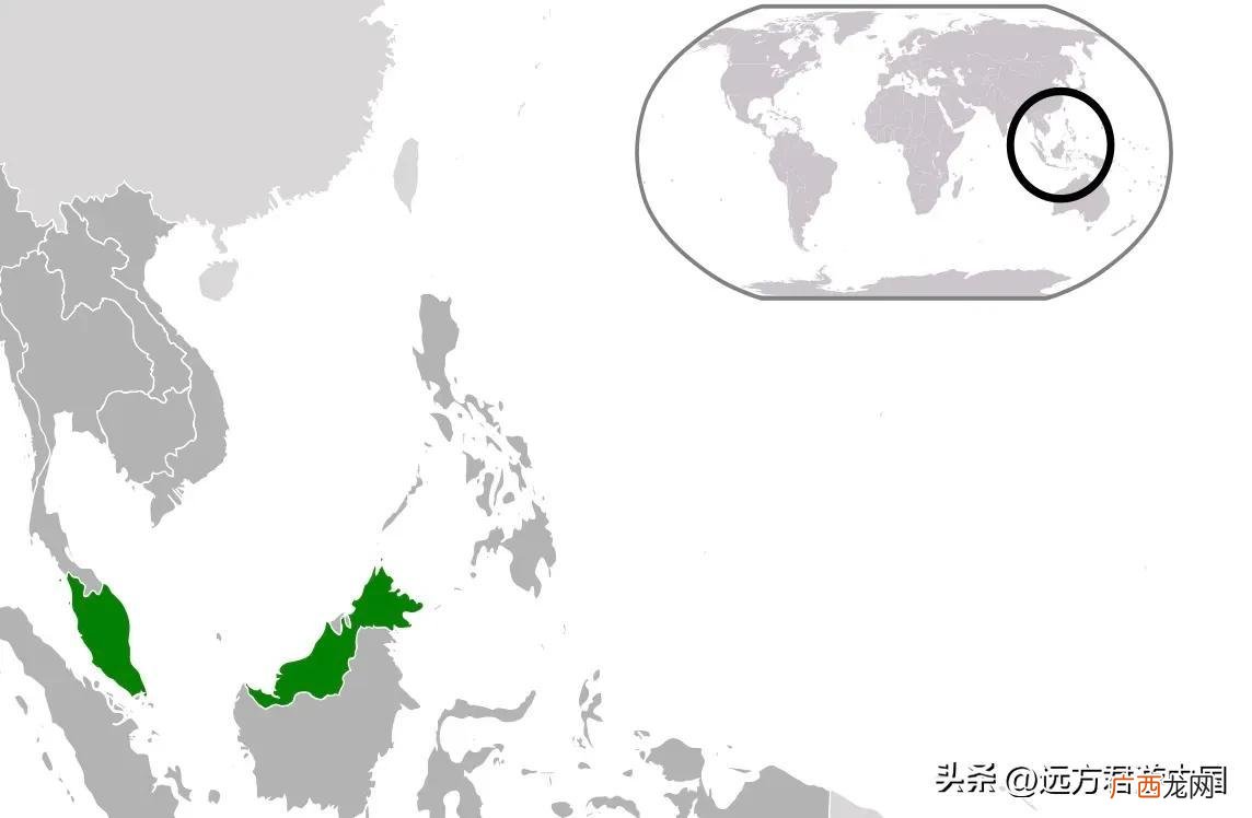 世界上海外华人最多的国家 印尼有多少华人