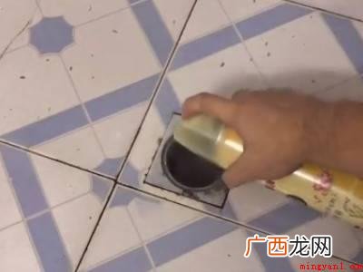 家里有很多小虫子怎么办