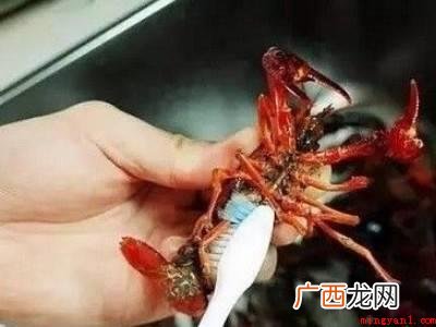 如何清理小龙虾的具体操作步骤 如何清理小龙虾