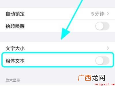 苹果字体怎么加粗的具体操作步骤 苹果字体怎么加粗