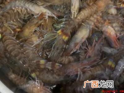 新鲜大虾怎么冷冻储藏的具体操作步骤 新鲜大虾怎么冷冻储藏