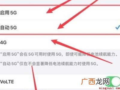 苹果手机4g变5g怎么设置的具体操作步骤 苹果手机4g变5g怎么设置