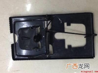 家里的老鼠怎么灭绝的具体操作步骤 家里的老鼠怎么灭绝